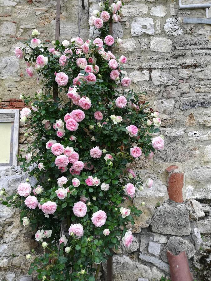 Appartamento Casa Santa Giulia Monteriggioni Esterno foto